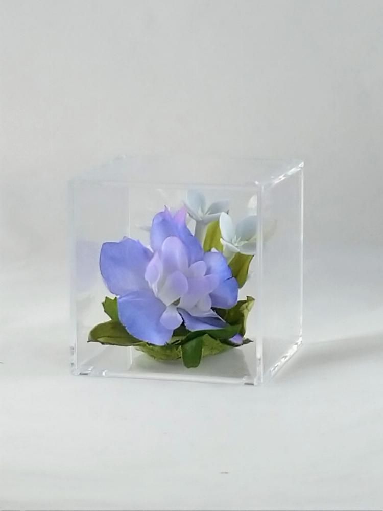 いろんな(*^^*)「てのり花」