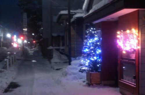 メリークリスマス！今年もあと１週間ですね