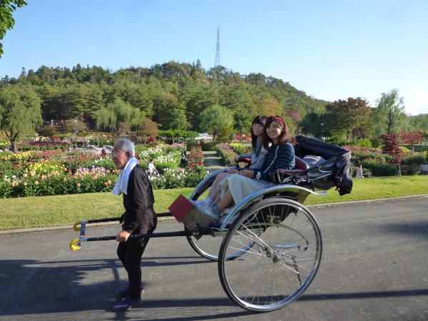 人力車は走る！美しいダリヤ園を背にして・・・