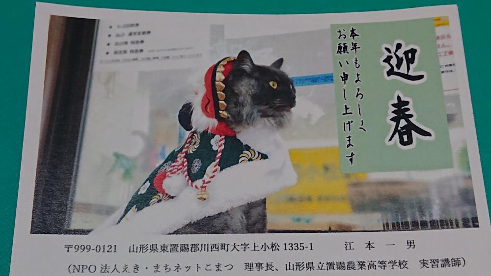 駅長しょこらからご挨拶
