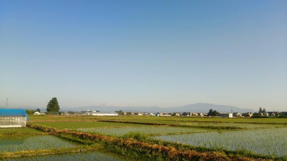 山形はE天気！