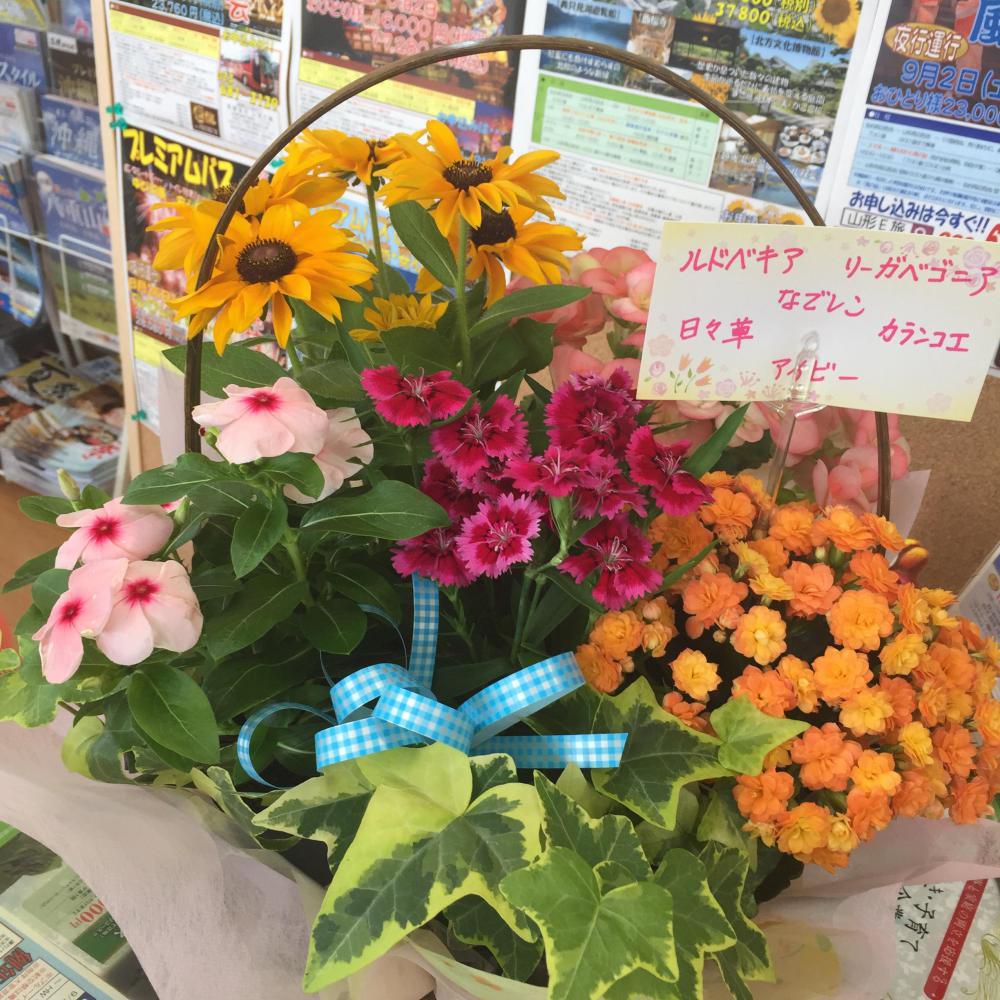 誕生日のプレセント＼(^o^)／