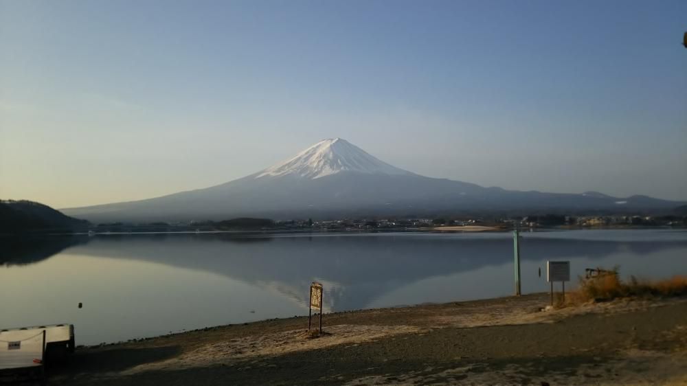 河口湖と河津桜ツアー！