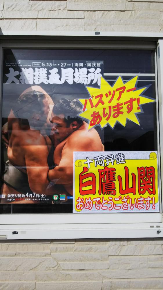 白鷹山関、十両昇進おめでとう！