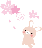 桜！満開！！