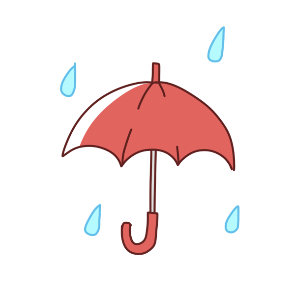 雨の季節がやってきた～！