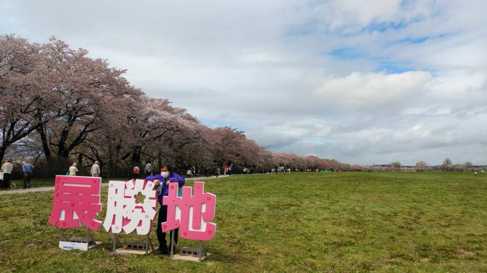 桜前線！北上！！