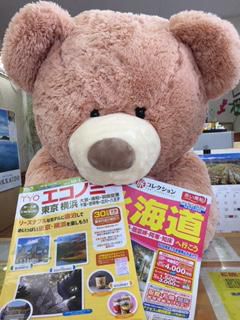 早めがお得です！