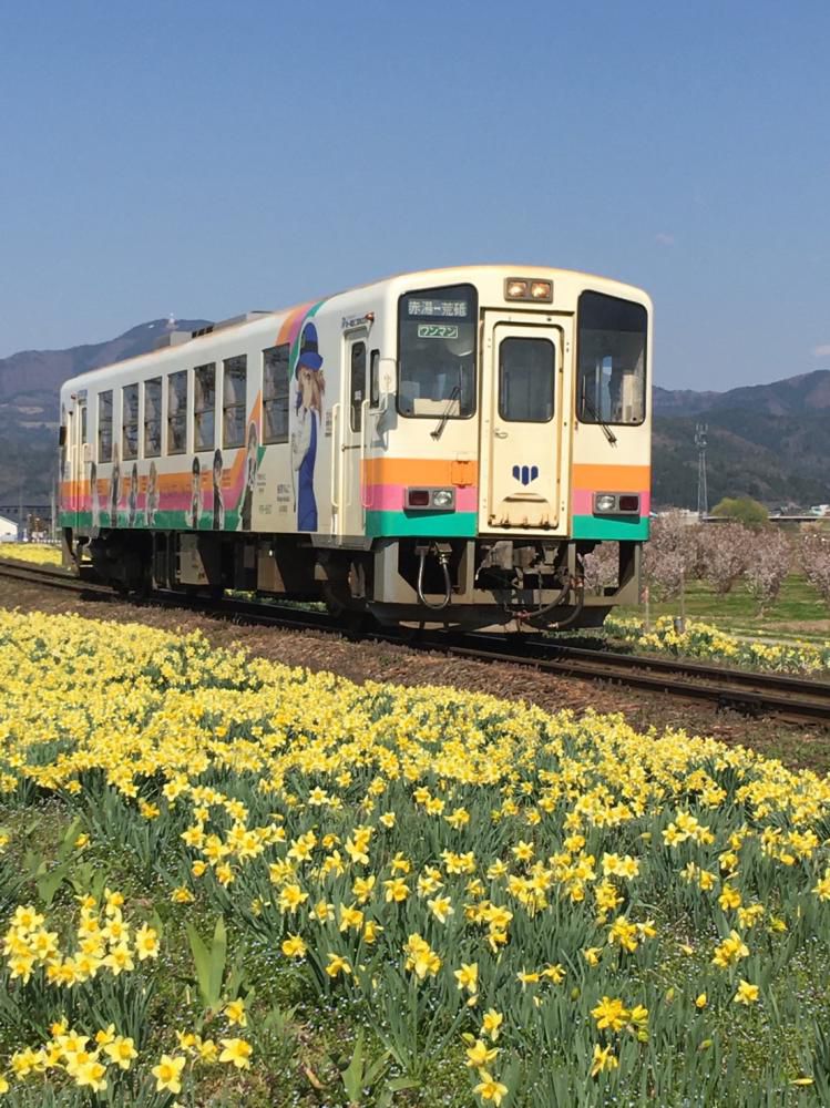 菜の花畑