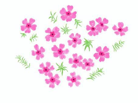 白くなった？！