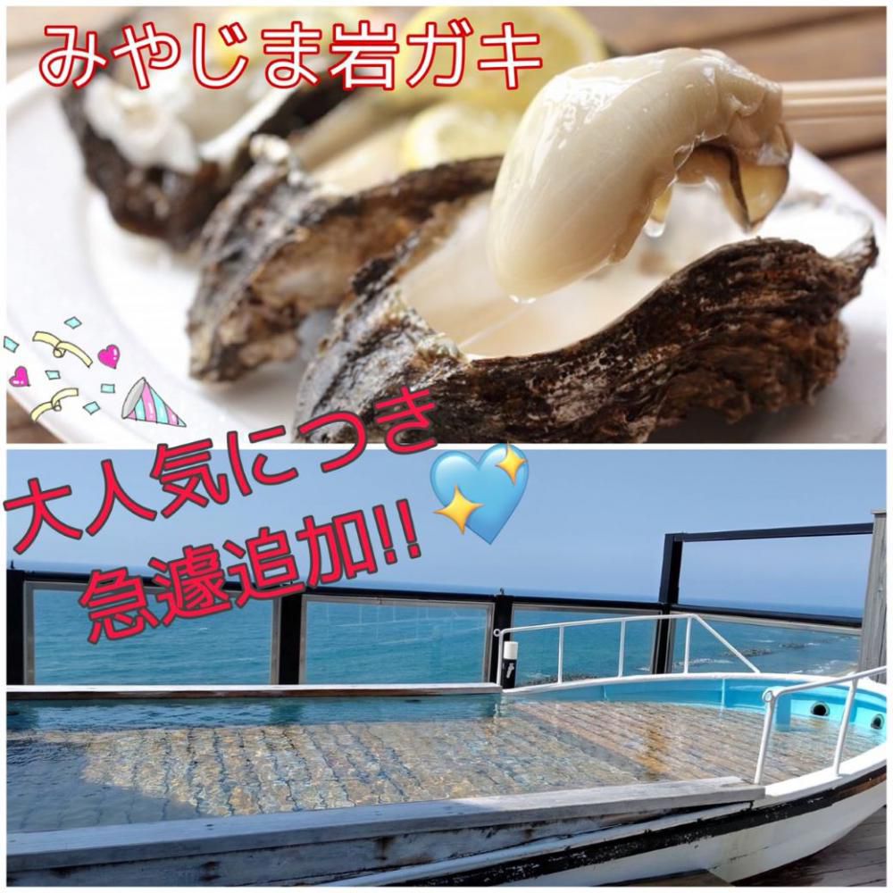 牡蠣だいすき人間