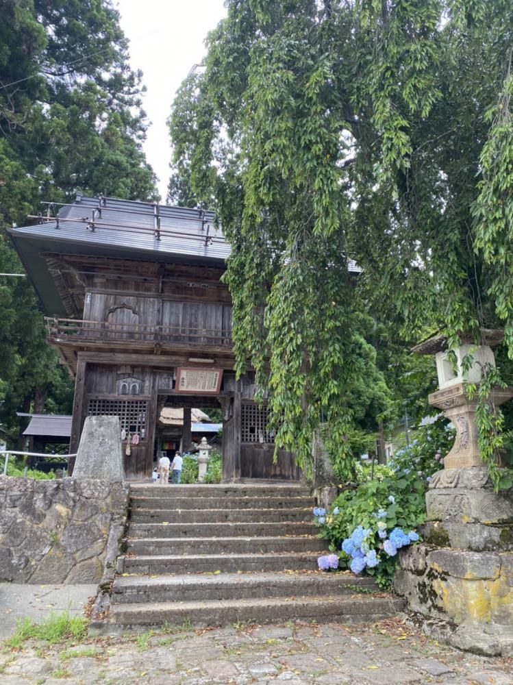 行ってきました！水陸両用バス
