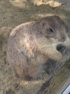 久しぶりの動物園♪