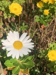 三陸って素敵♪