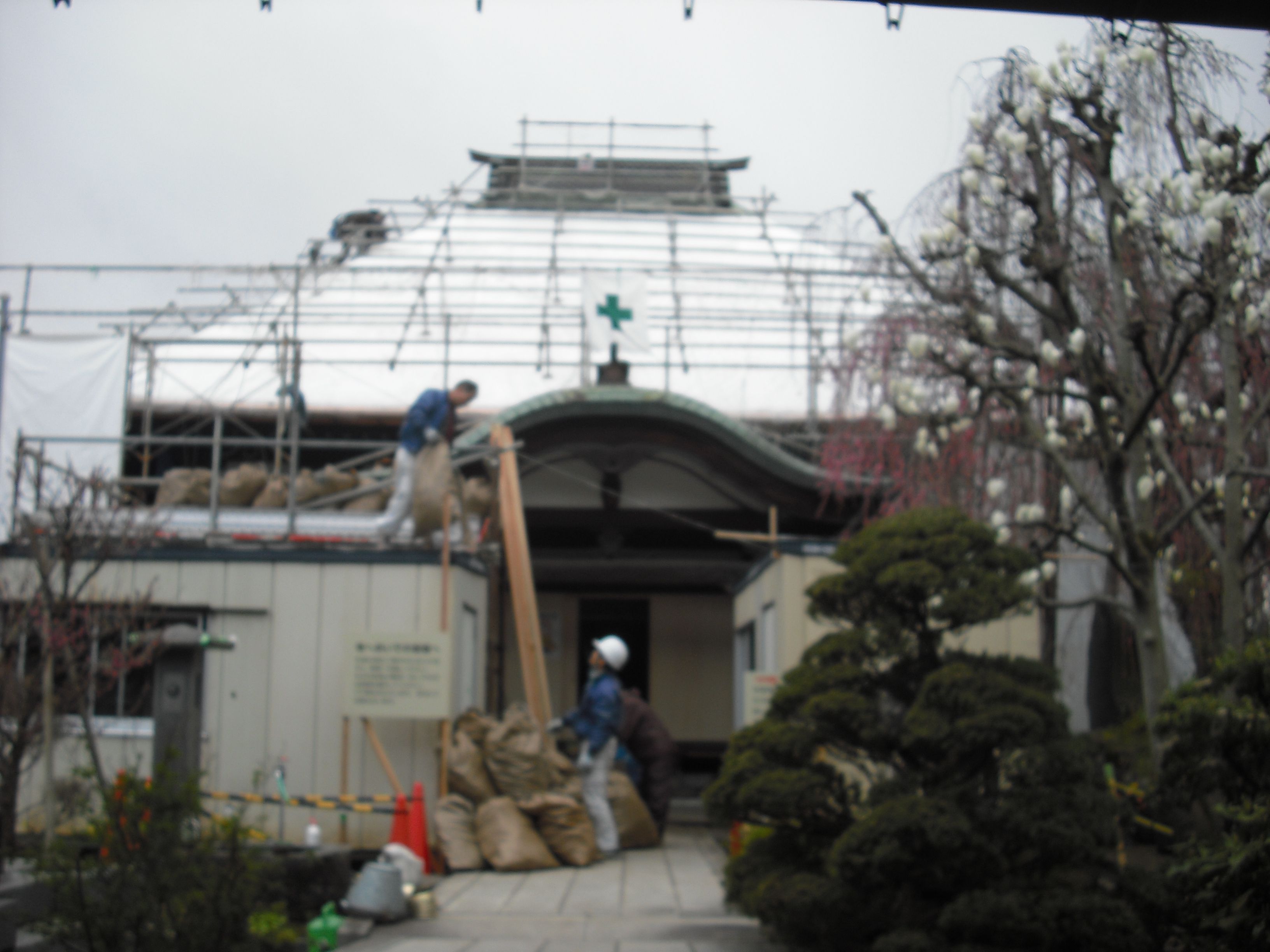 お寺の屋根を葺き替えています