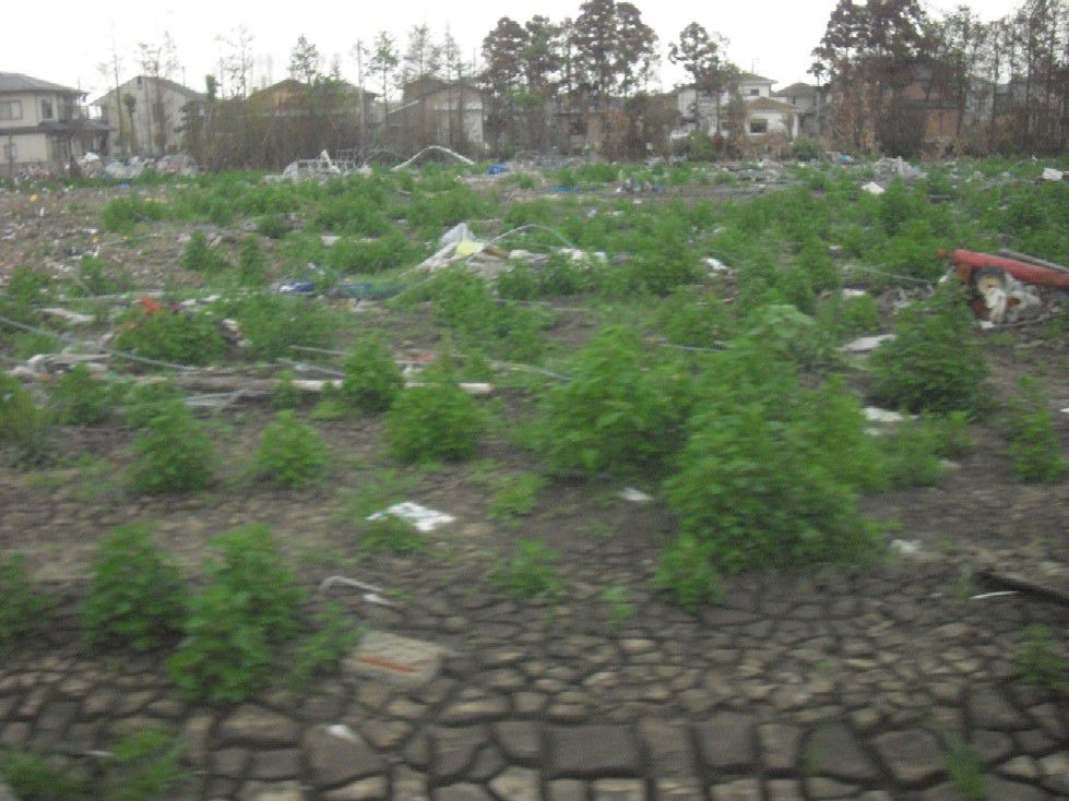 遅ればせながら