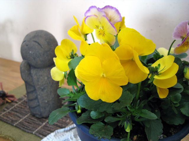 明けましておめでとうございます