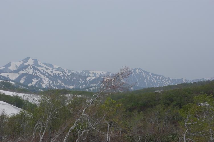 はじめての葉山