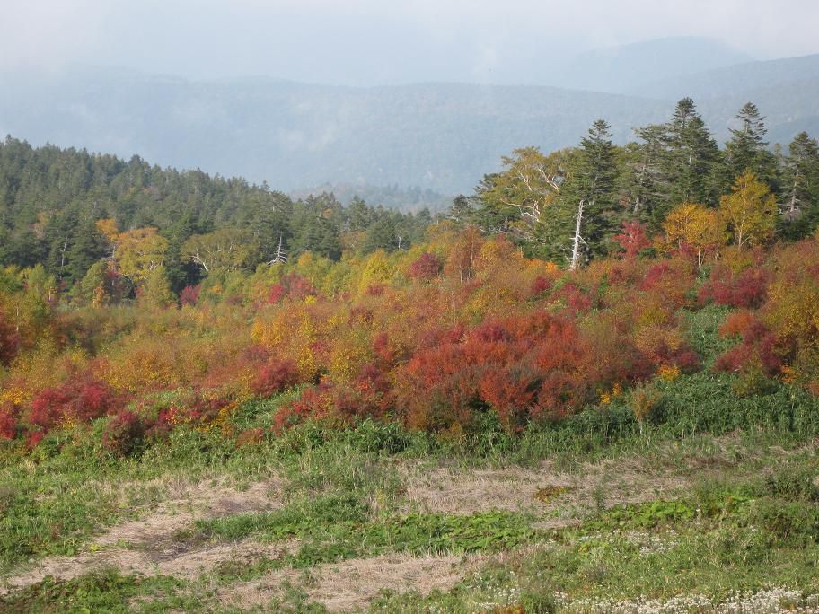 西吾妻山の秋