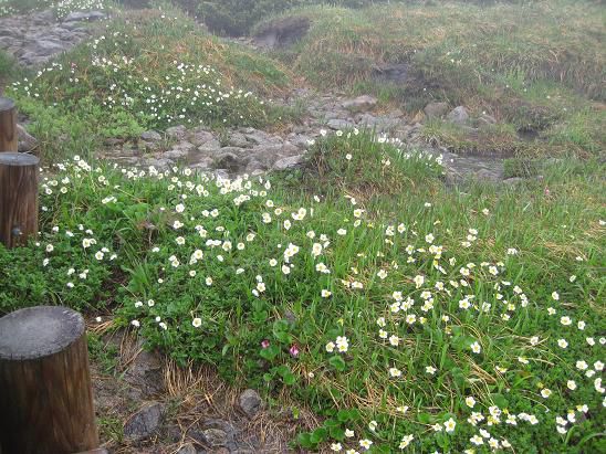 吾妻山のちんぐるま