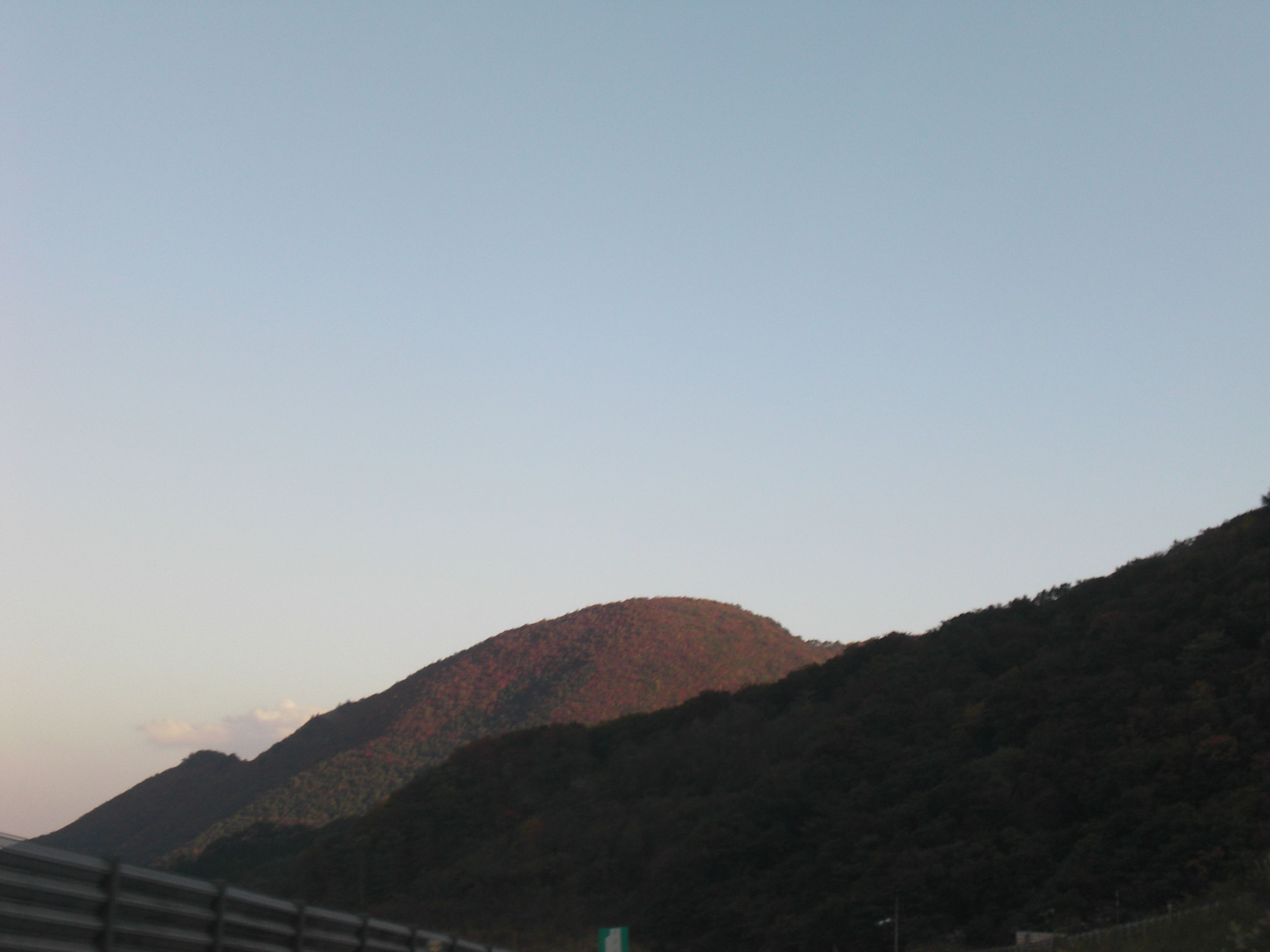 秋ですね。