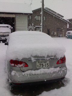 本格的にｽﾀｰﾄ。