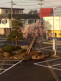 色々すみませんでした。