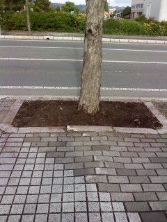 花壇計画ⅱ.