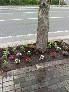 花壇計画ⅲ.