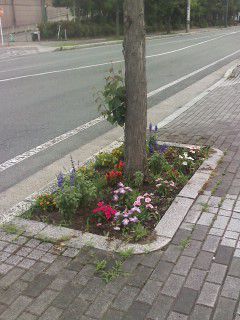 おめでとう。