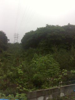 七夕。