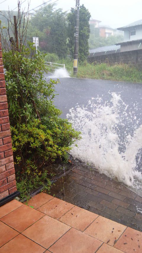 雨男。