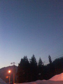 春だ～。