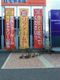 いらっしゃいませ。
