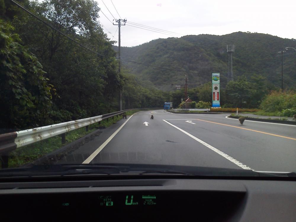 笹谷猿軍団。