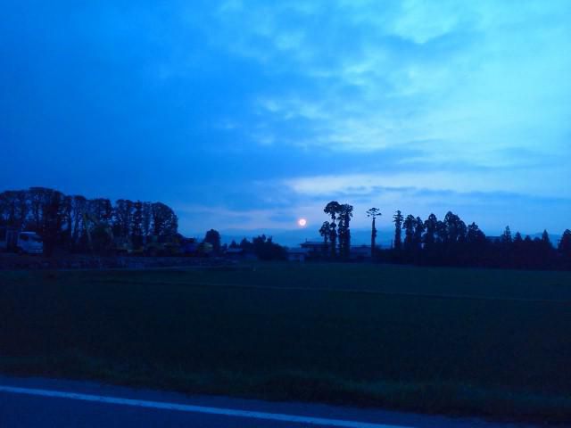 素晴らしい青空。