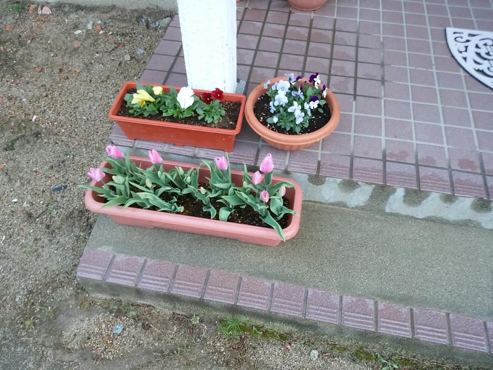 お疲れ様でした。