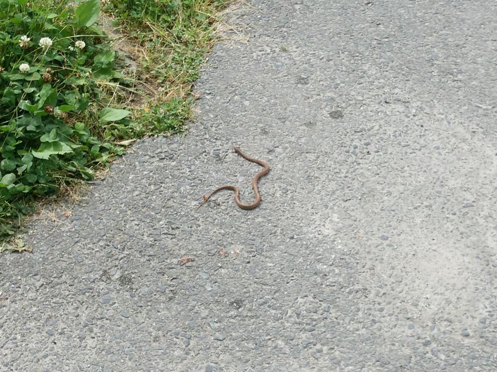 毎日色々あります。