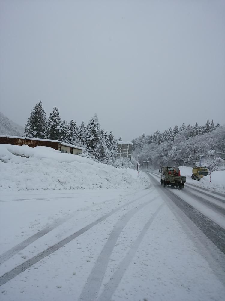 なごりの雪。