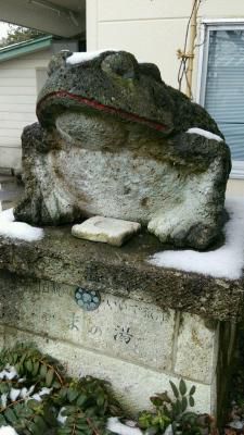 雪が降りましたね