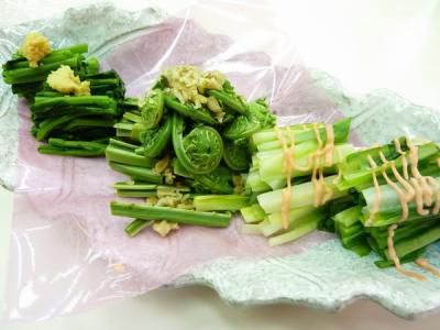 山菜を楽しめる季節ですね～