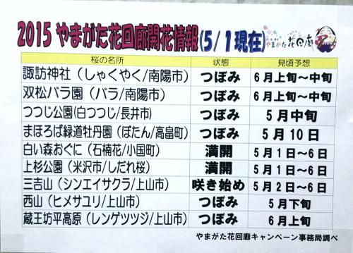 山形の花　　開花予想　５月１日