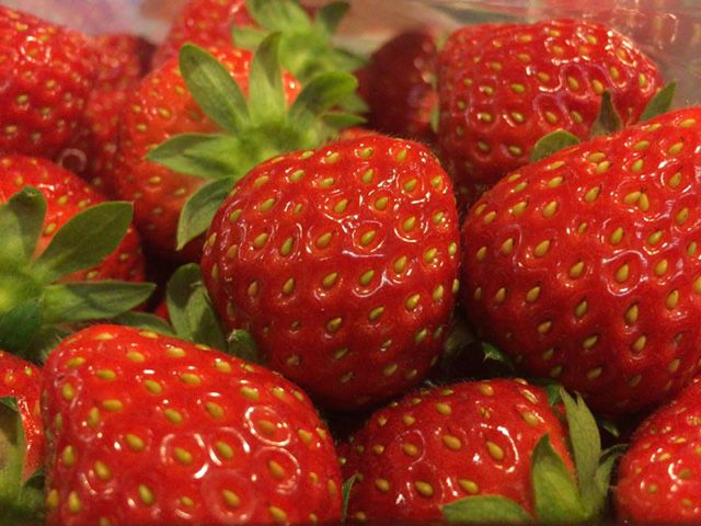【箱入り娘】飯豊町のいちごです【アグリメントなか】