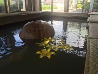 『足水』はじめました