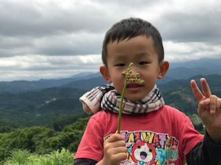 【食育】初めてのワラビ採り～５歳児の大冒険～