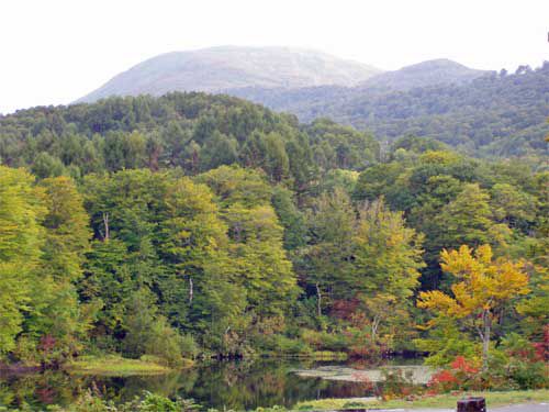 早朝の地蔵沼