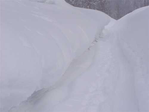 月山道