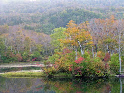 地蔵沼紅葉