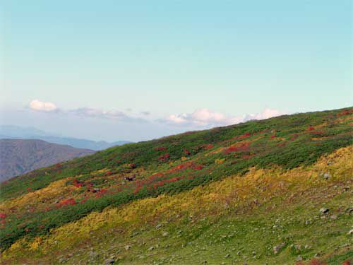 姥ヶ岳の今　