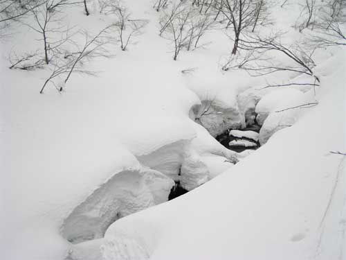 石跳川開き多い　1